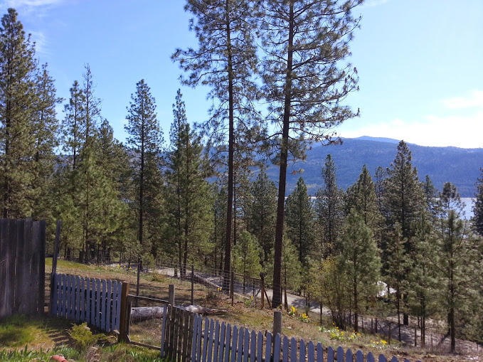 View 4