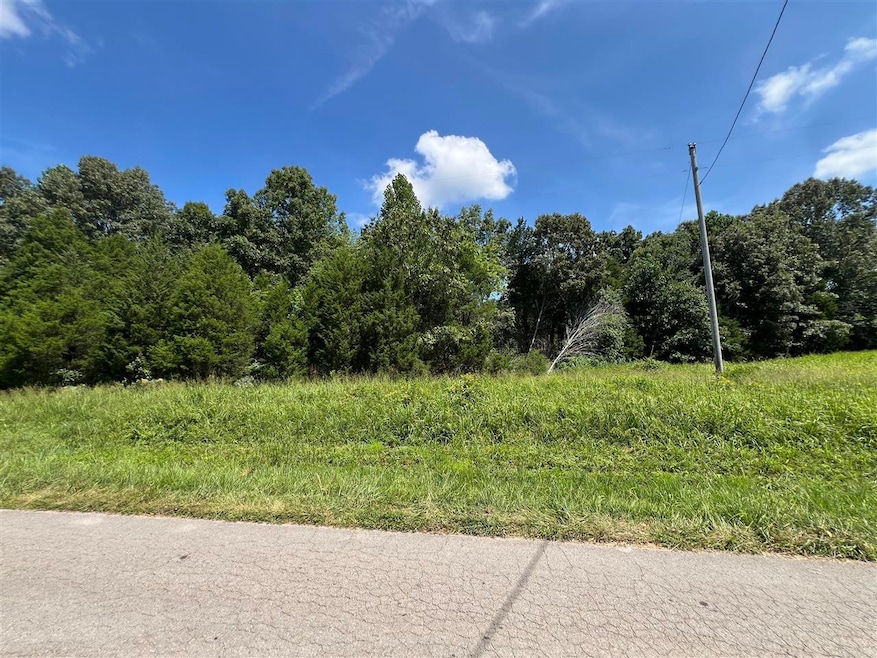 3688 E New Roe Rd, Adolphus, KY 42120 - photo 1