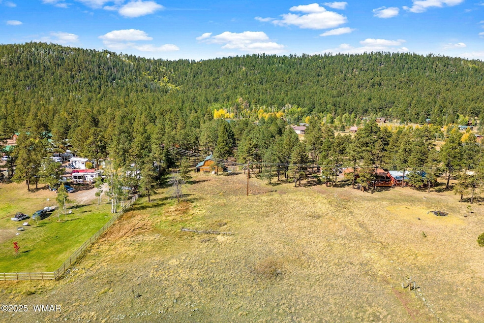 58 1120, Greer, AZ 85927 - photo 1