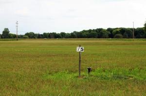 jamestown 75