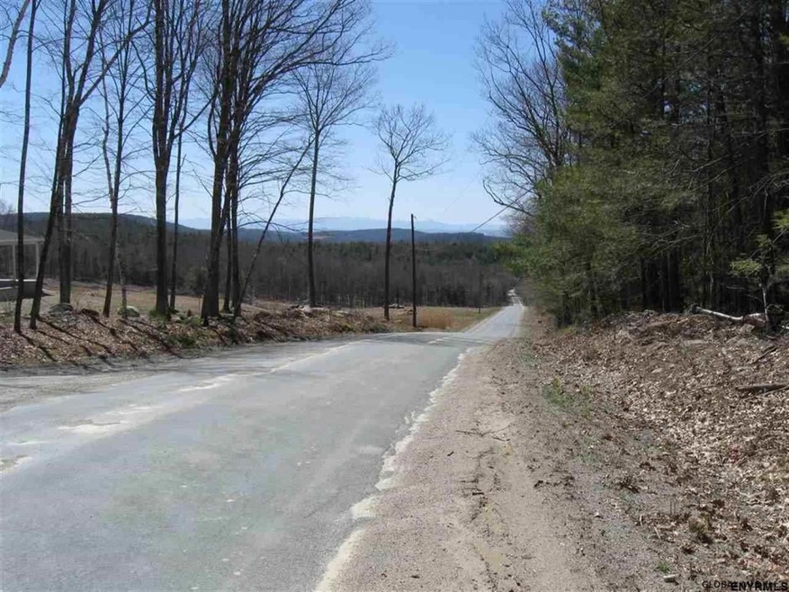 0 Gentile Rd unit 201820186, Stephentown, NY 12168 - photo 1