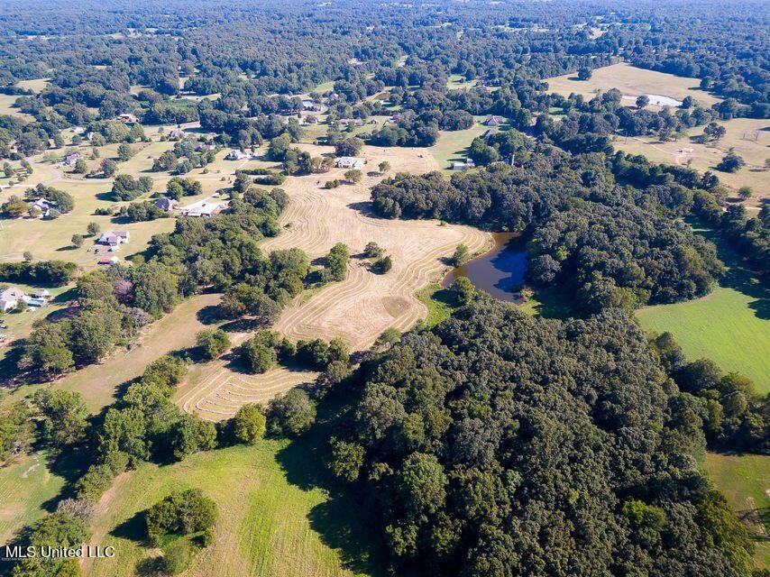 Overhead View