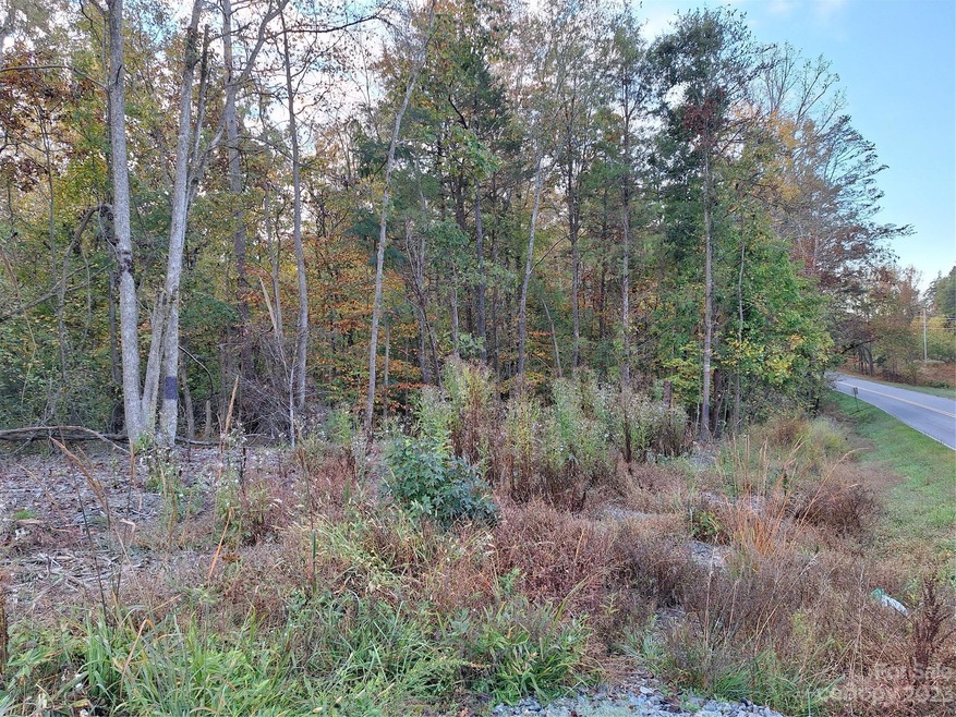 0 N Little Egypt Rd unit CAR4080237, Denver, NC 28164 - photo 1