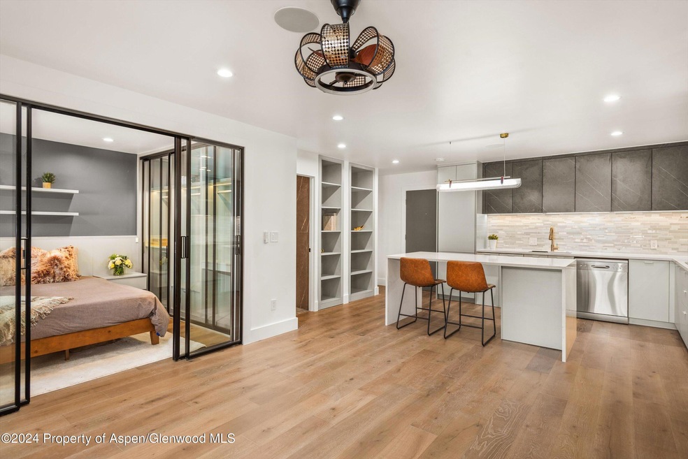 790 W Hallam St unit 2, Aspen, CO 81611 - photo 1