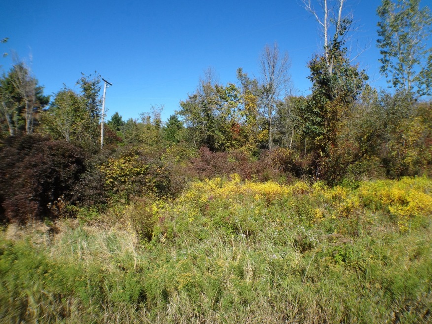 0 135th Ave, Hopkins Township, MI - photo 1