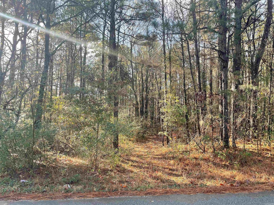 TBD Honeysuckle Rd, East End, AR 72206 - photo 1