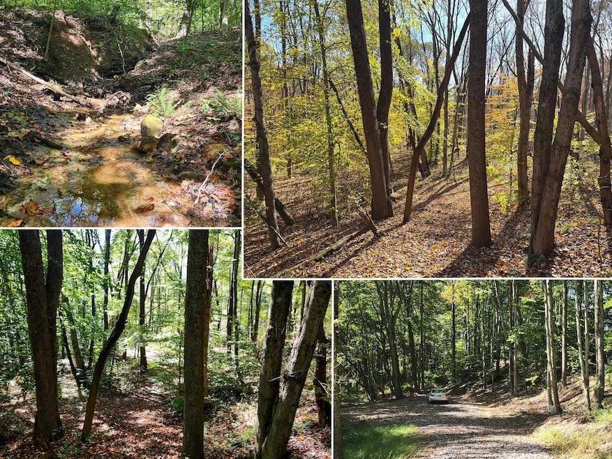 929 Poplar Ridge Rd unit (Ponds Poplar Ridge, Gallipolis, OH 45631 - photo 1