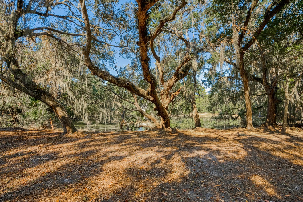 _DSC6805