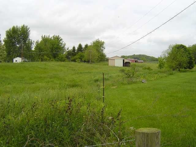 Primary Photo