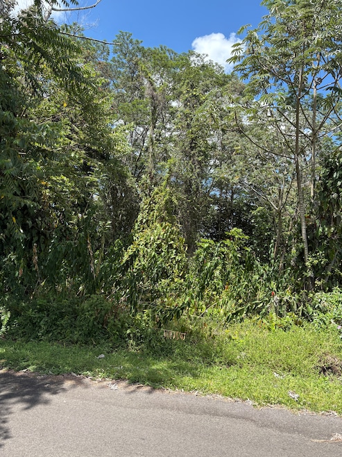 0 Anthurium Dr unit 720372, Pahoa, HI 96778 - photo 1