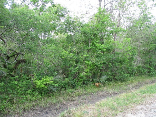 000 County Road 858, Brazoria, TX 77422 - photo 1