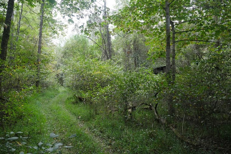 TBD Bryson Cove Rd, Abingdon, VA 24210 - photo 1