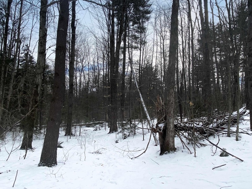 00 Connecticut Heights Rd unit M236 L003, Acworth, NH 03601 - photo 1