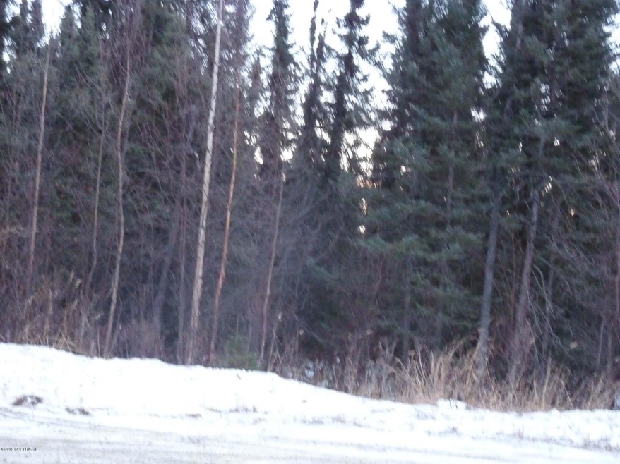 P1160411.jpg