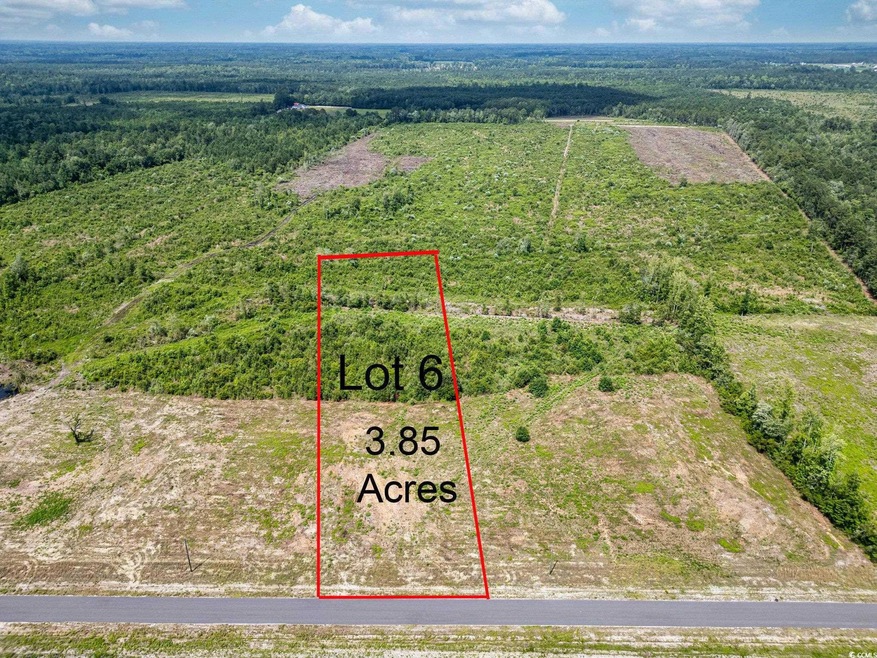 TBD Bellaire Dr unit Lot 6, Nichols, SC 29581 - photo 1