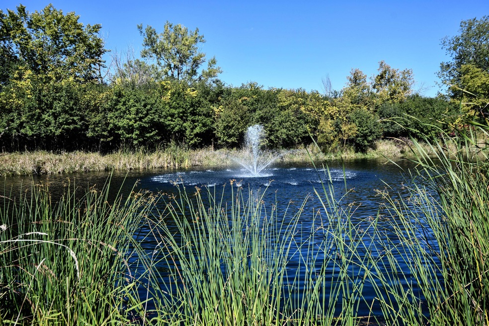 Views of Ponds