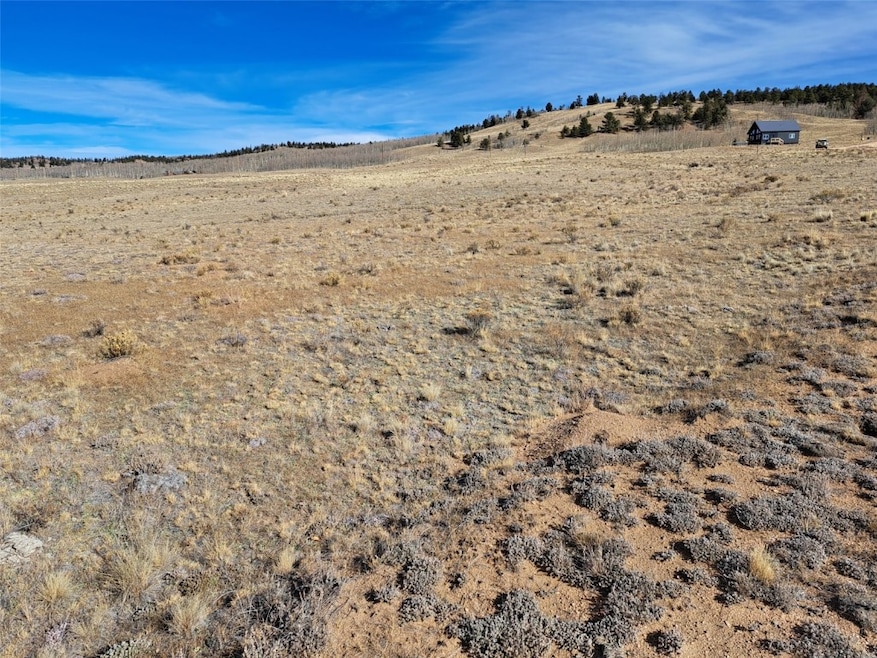 513 Night Hawk Cir, Como, CO 80432 - photo 1