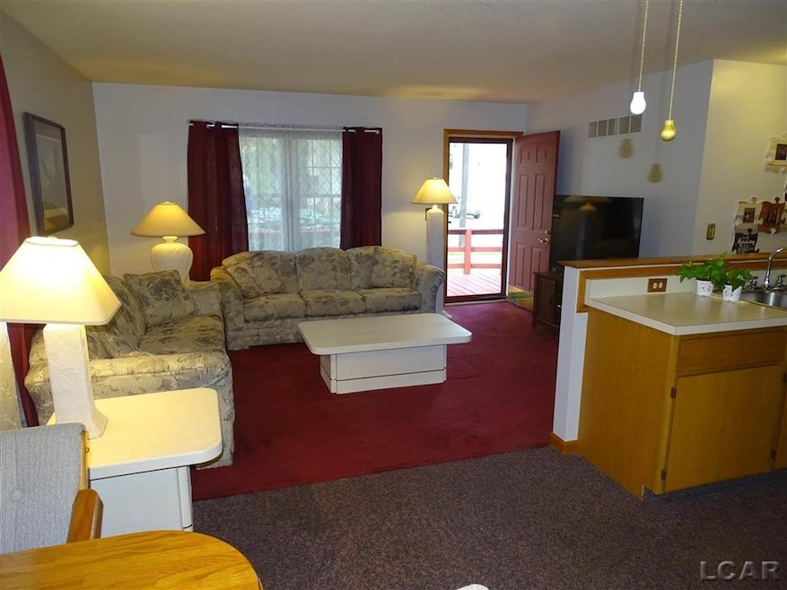 611 Grand St, Adrian, MI 49221 - photo 1