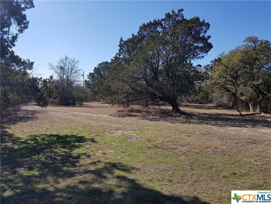 0000 County Road 4820, Kempner, TX 76539 - photo 1