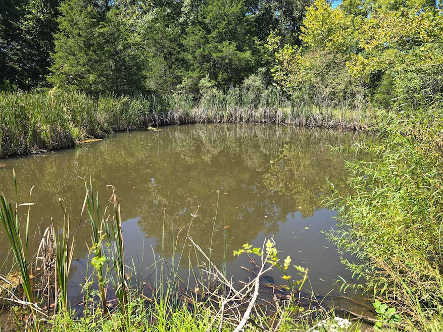 3201 Harp Pike, Frankfort, KY 40601 - photo 1