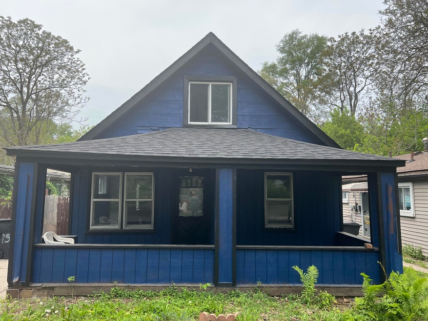 Dolphin Front