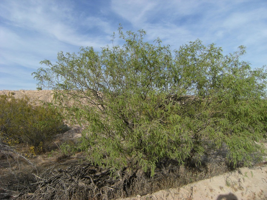 20750 W Creosote Ln unit 5, Wickenburg, AZ 85390 - photo 1