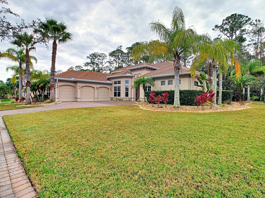 Large yard