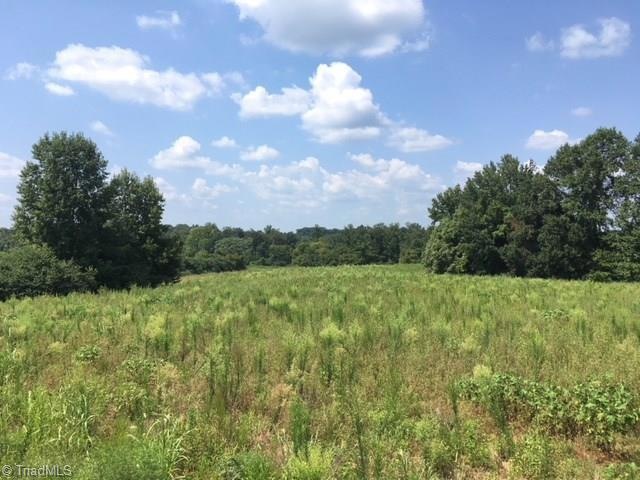 3555 Old Bachelor Creek Rd, Seagrove, NC 27341 - photo 1