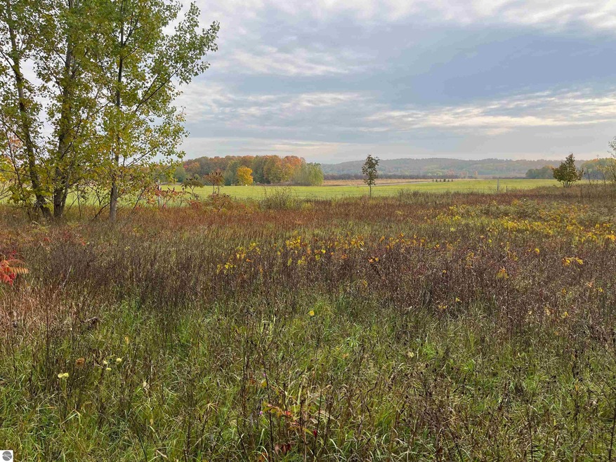 00 E Cherry Ln unit 174, Cedar, MI 49621 - photo 1