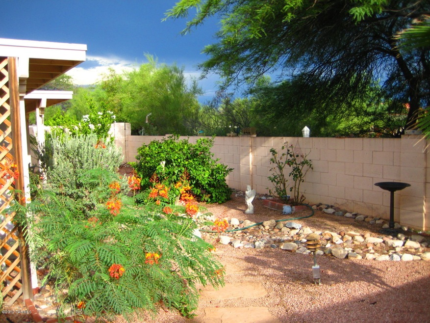 Backyard with patio