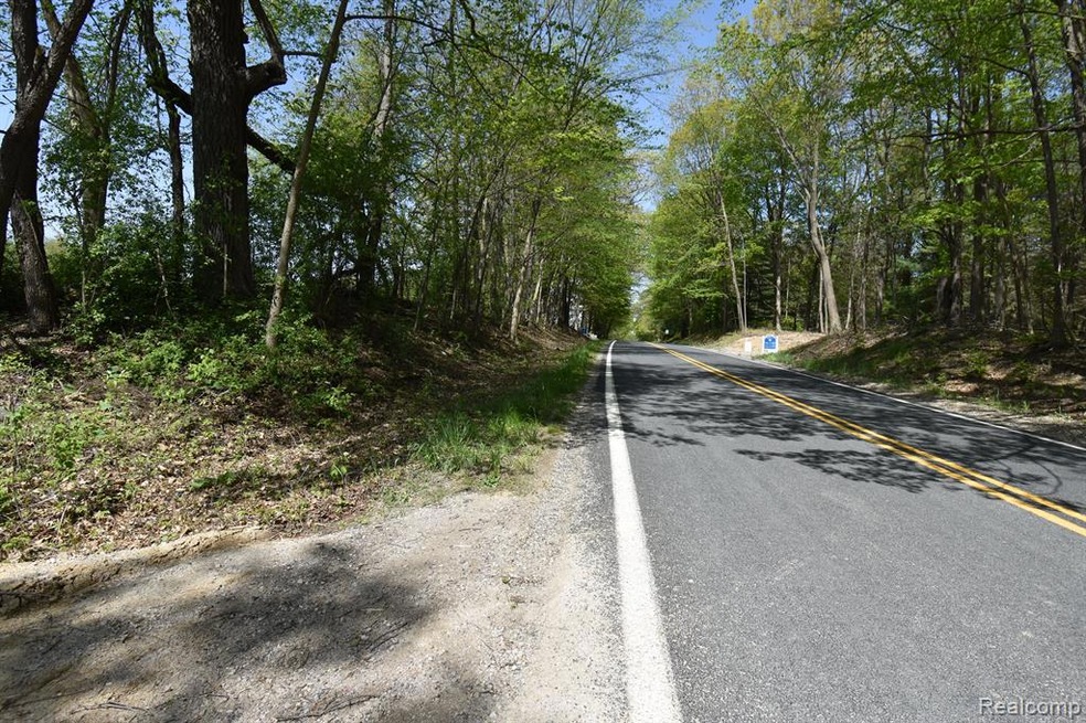 Parcel #3 Island Lake Rd, Dexter, MI 48130 - photo 1
