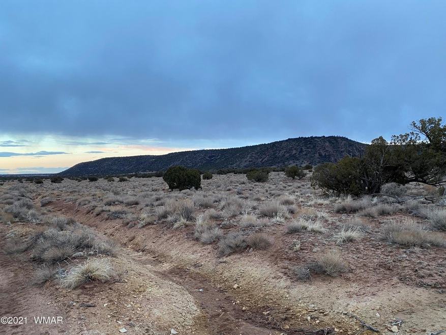 Black Mesa View