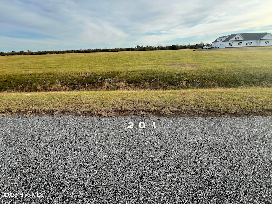 201 Sandpiper Dr, Hertford, NC 27944 - photo 1