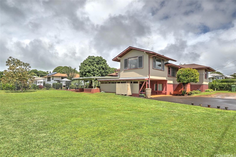 Beautiful large yard with avocado and lychee tree