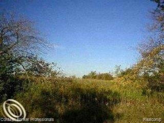 Par 7 Brown School Rd.jpg