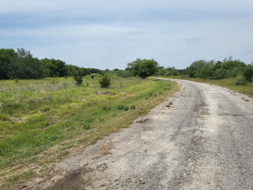 22170 Stanwood Dr, Whitney, TX 76692 - photo 1