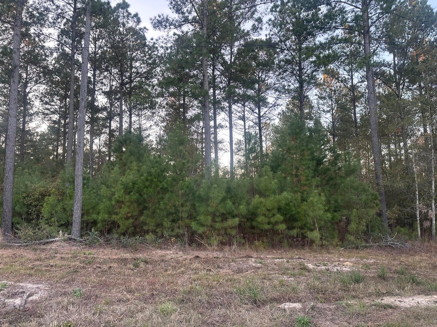 Lot 2 Blacks Rd, Williston, SC 29853 - photo 1