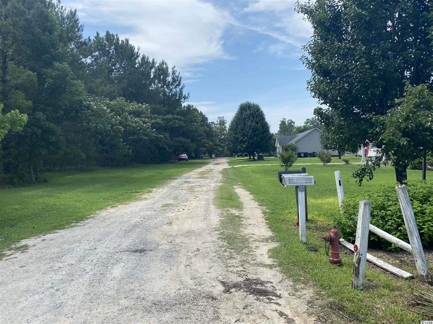 125 White Rose Ln, Conway, SC 29527 - photo 1