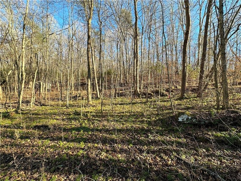0 Wahoo Creek Rd unit 7161521, Murrayville, GA 30564 - photo 1