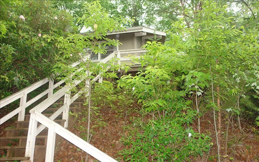Main View