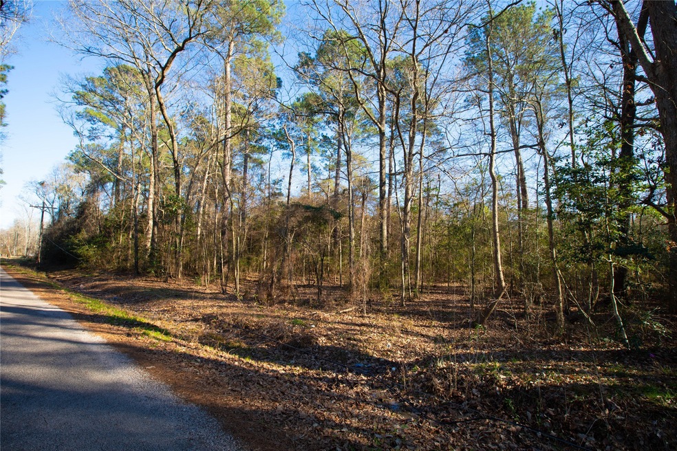 00 County Road 3812, Cleveland, TX 77328 - photo 1