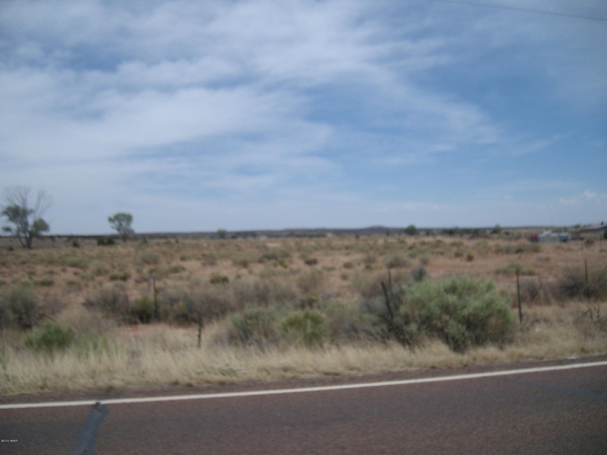 0 S Bourdon Ranch Rd unit 220150, Taylor, AZ 85939 - photo 1