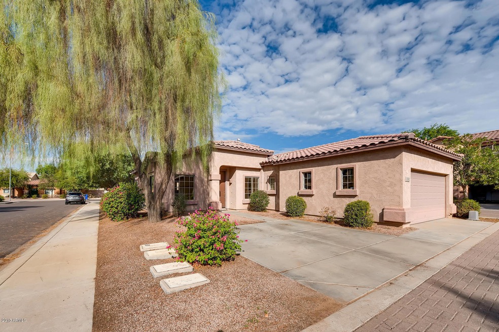 2562 E RIVIERA DR Chandler AZ-large-001-