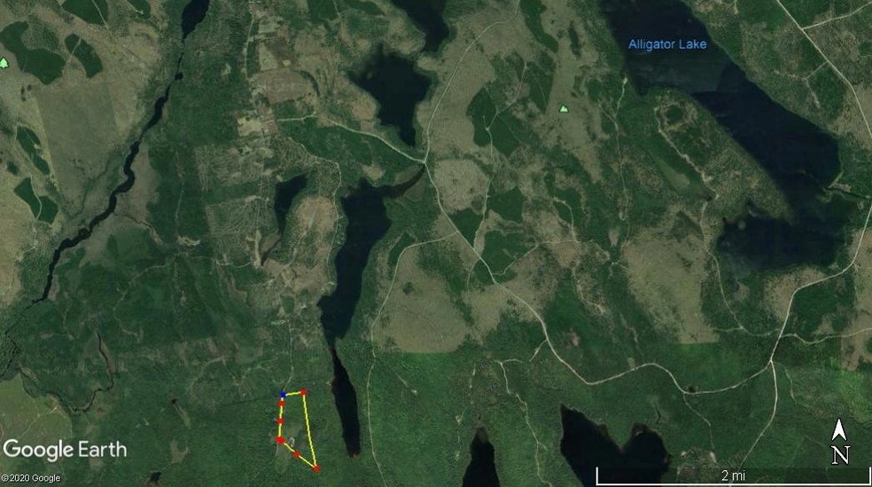 aerial map distant