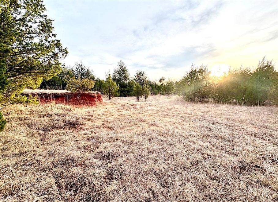 12295 Banner Rd, Slaughtervl, OK 73051 - photo 1