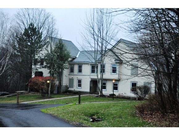 4 Newfane Cir unit 4B, Dover, VT 05356 - photo 1