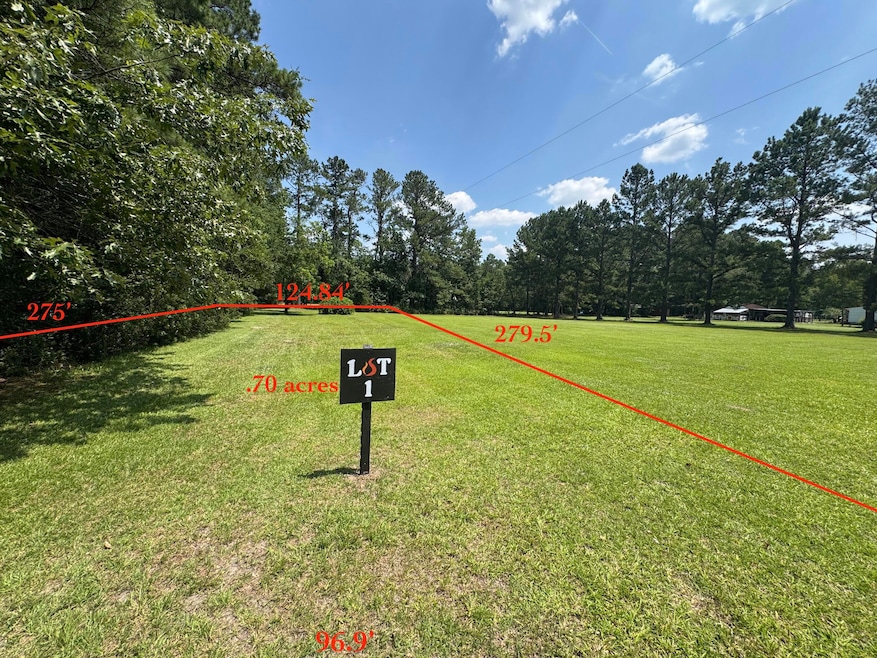 0 Jedburg Rd unit 1 25020273, Summerville, SC 29483 - photo 1