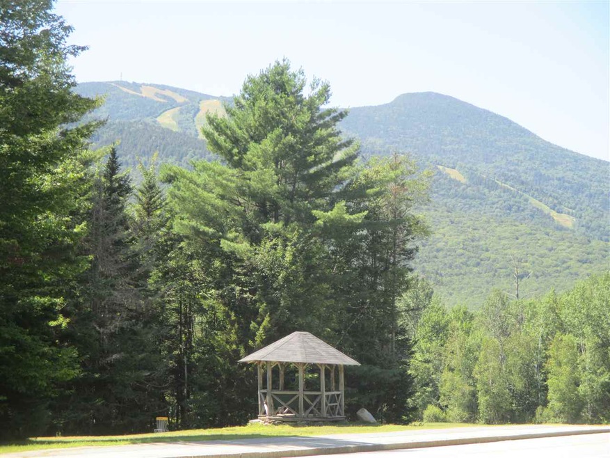 4 Golden Heights Rd unit 29.1, Waterville Valley, NH 03215 - photo 1