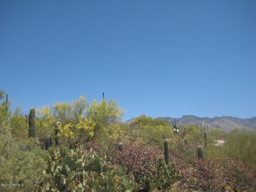 Amazing Catalina Mountain Views
