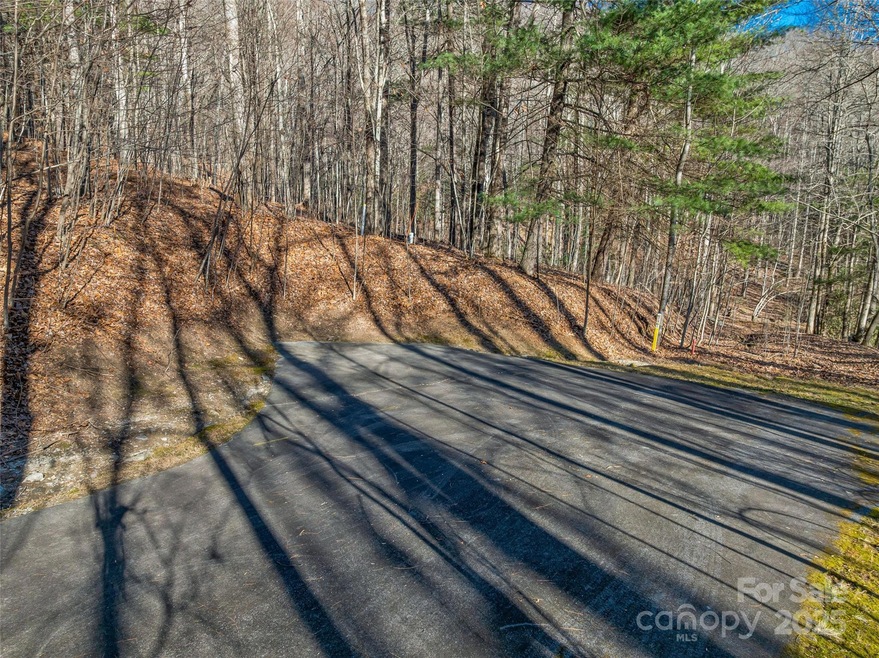 TBD Ladys Fern Trail unit 10, Laurel Park, NC 28739 - photo 1